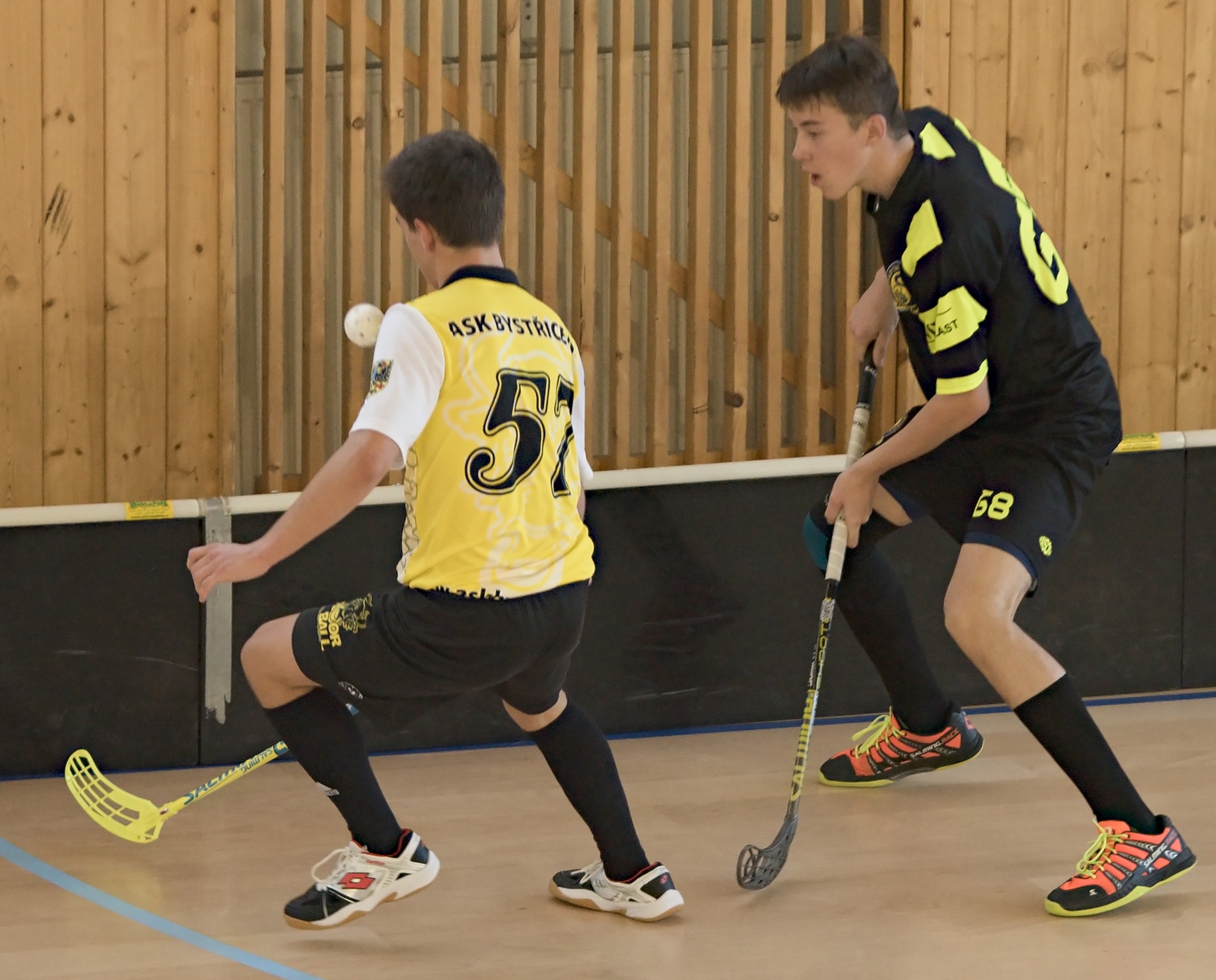 JunciLedec241015 221